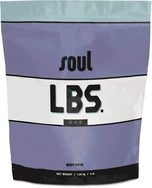 Soul LBS