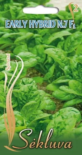 Spinach, Early Hybrid #7 1/2oz