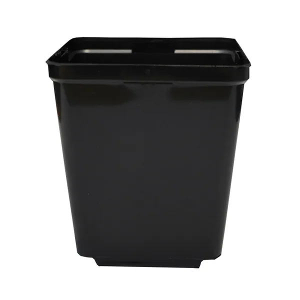 Square Injection Pot 2L 5.5in x 5.5in x 6in