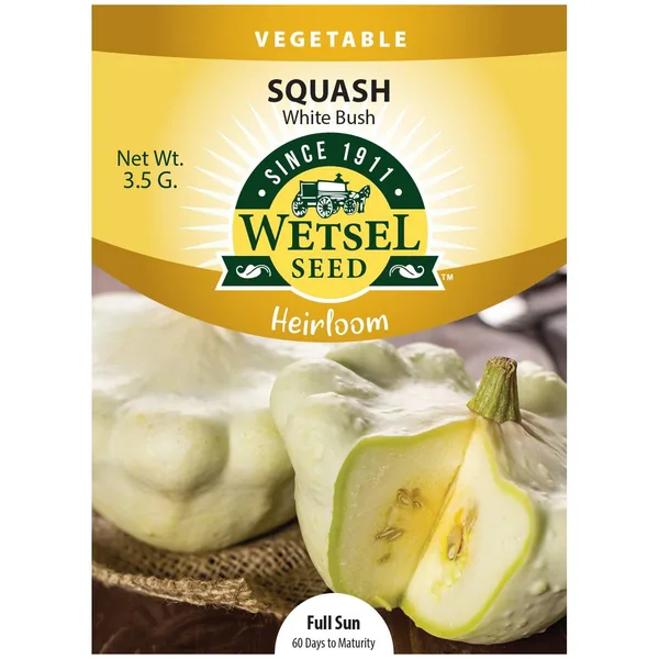 Squash, Heirloom White Bush 3.5 Grams