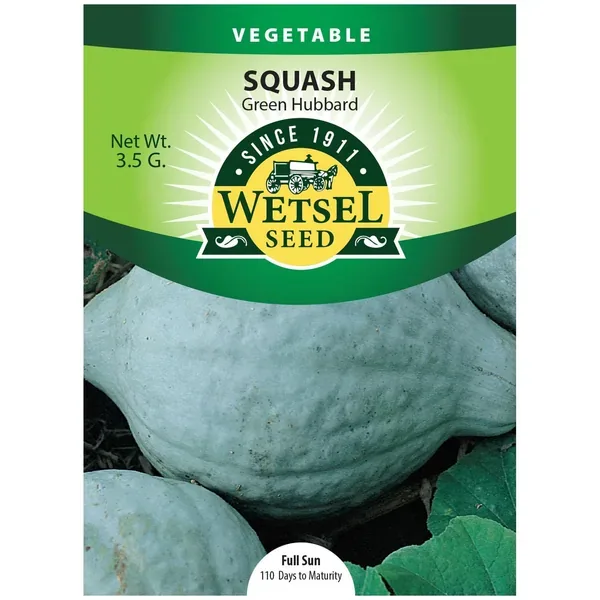 Squash, Improved Green Hubbard 3.5 Grams - Image 2