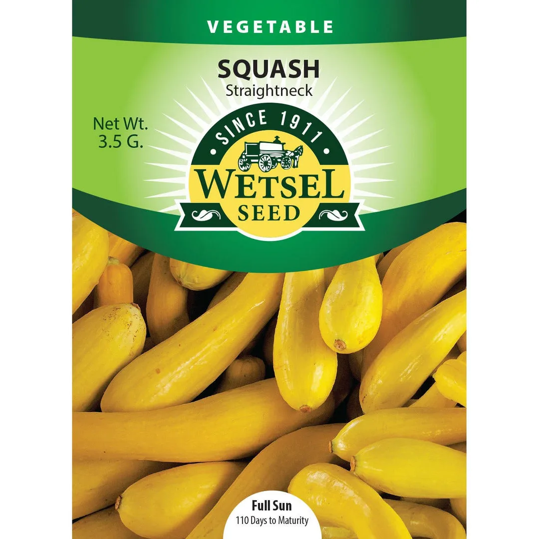 Squash, Straightneck 3.5 Grams - Image 2