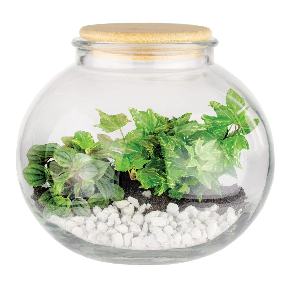 SSI 8" Bubble Ball Bulb Planter - Image 2