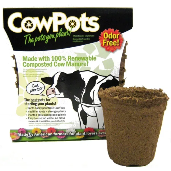 Summit Cow Pot #3 Round 12ct - Image 2
