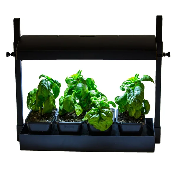 SunBlaster Sunblaster LED Micro Glg Black