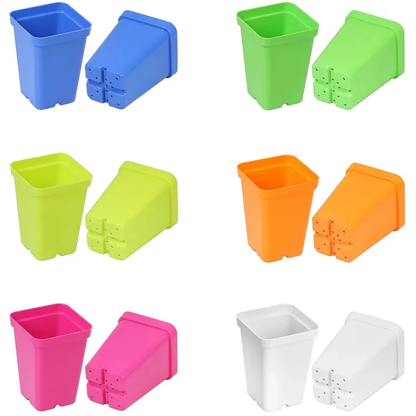 Sunpack 2.5" Square Pot Mixed Color