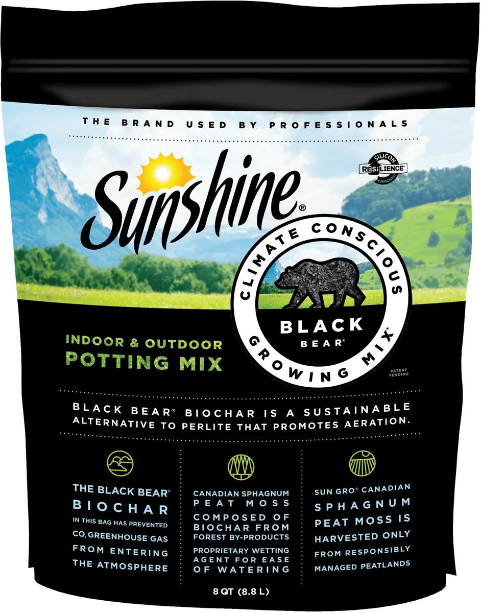 Sunshine 8QT PGM Black Bear Resilience — priced per each; minimum 8; multiples of 8 - Image 2