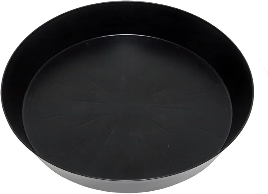 Super-Sized Black Saucer #25, pack of 5 - Image 2