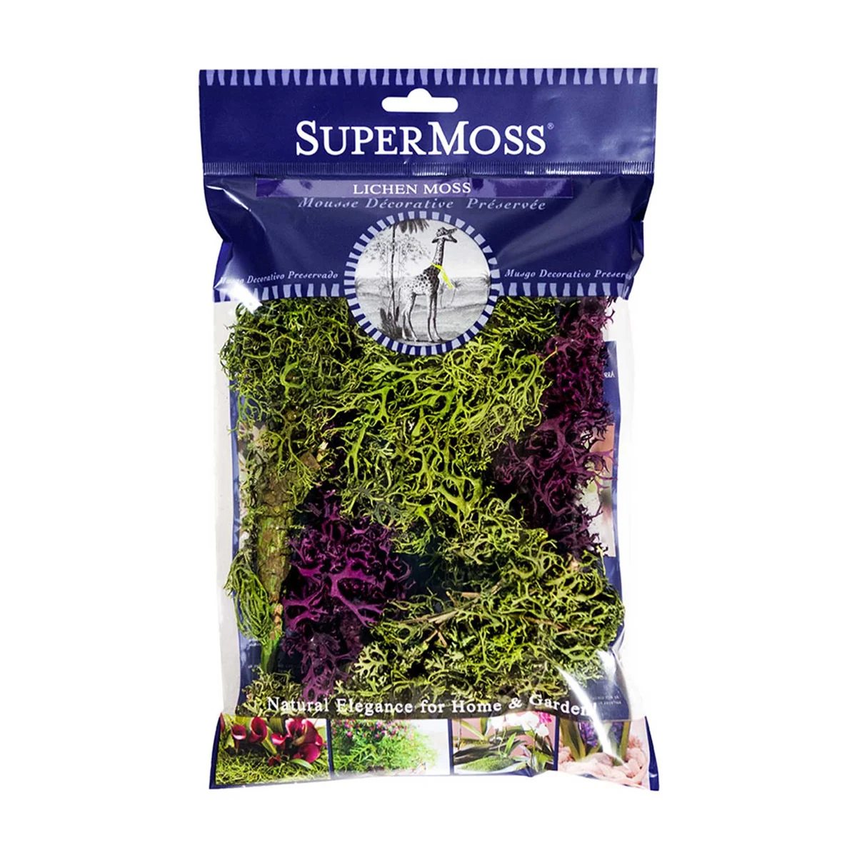 SuperMoss SuperMoss Branched Lichen Parmelia