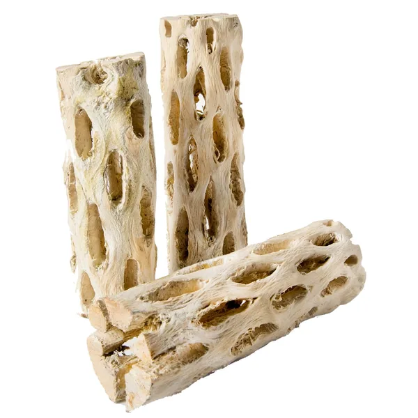 SuperMoss SuperMoss Cholla Wood