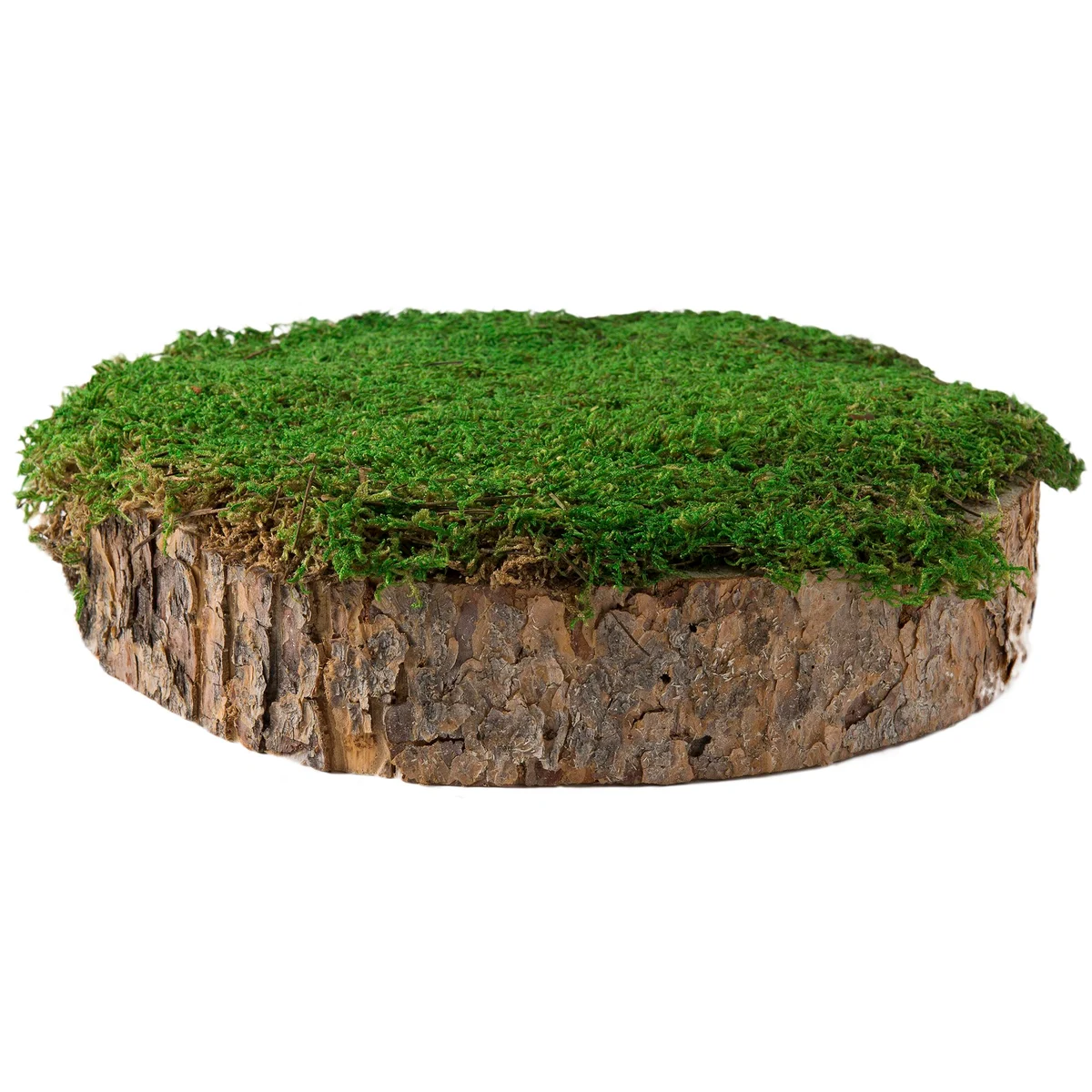 SuperMoss SuperMoss Deco Bark Mossy Tree Stump