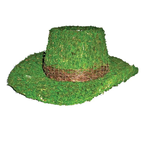 SuperMoss SuperMoss Deco Baskets - Cowboy Hat Planter