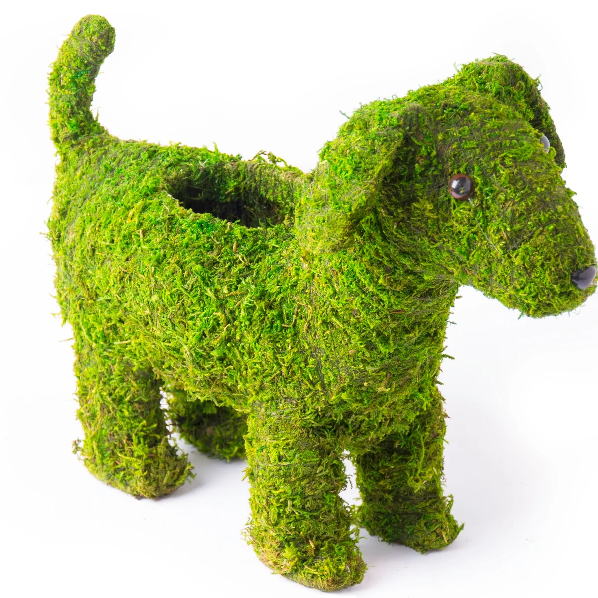 SuperMoss SuperMoss Deco Puppy Planter