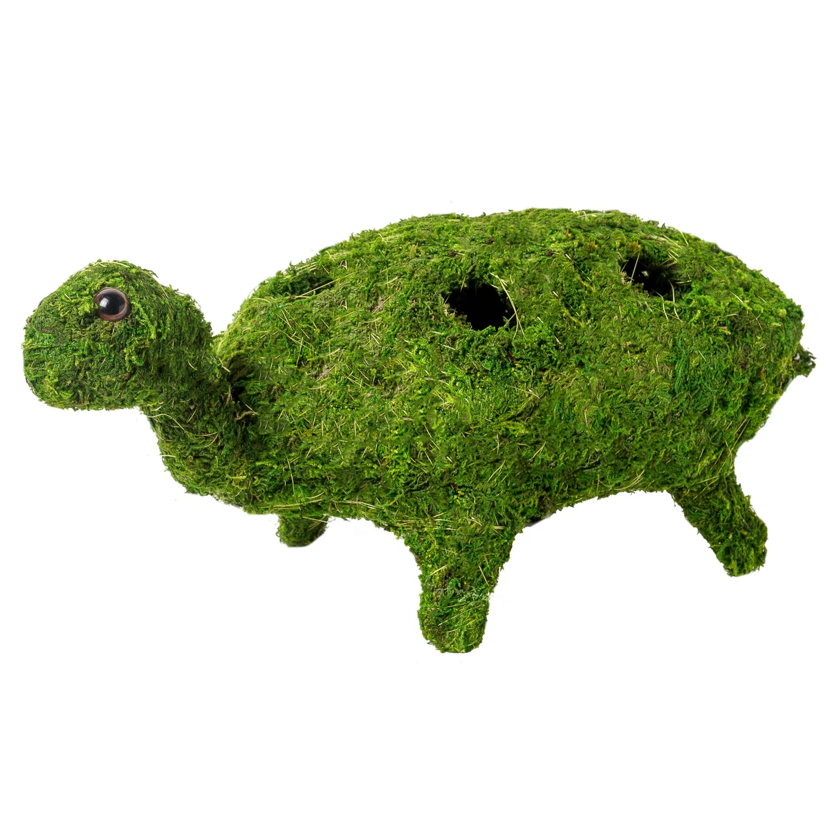 SuperMoss SuperMoss Deco Turtle Planter