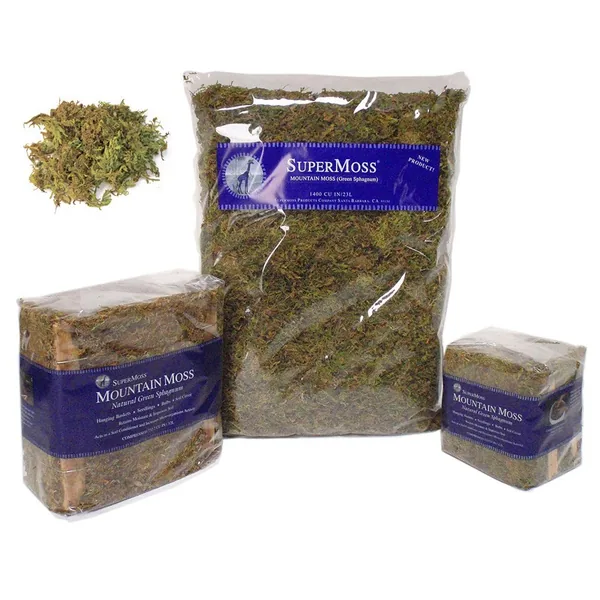 SuperMoss SuperMoss Dried Forest Moss