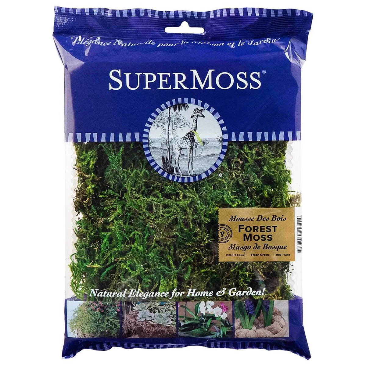 SuperMoss SuperMoss Forest Moss Preserved