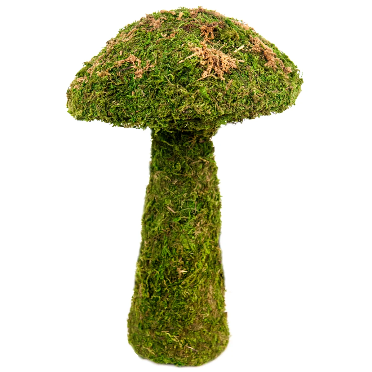 SuperMoss SuperMoss Garden Mushrooms