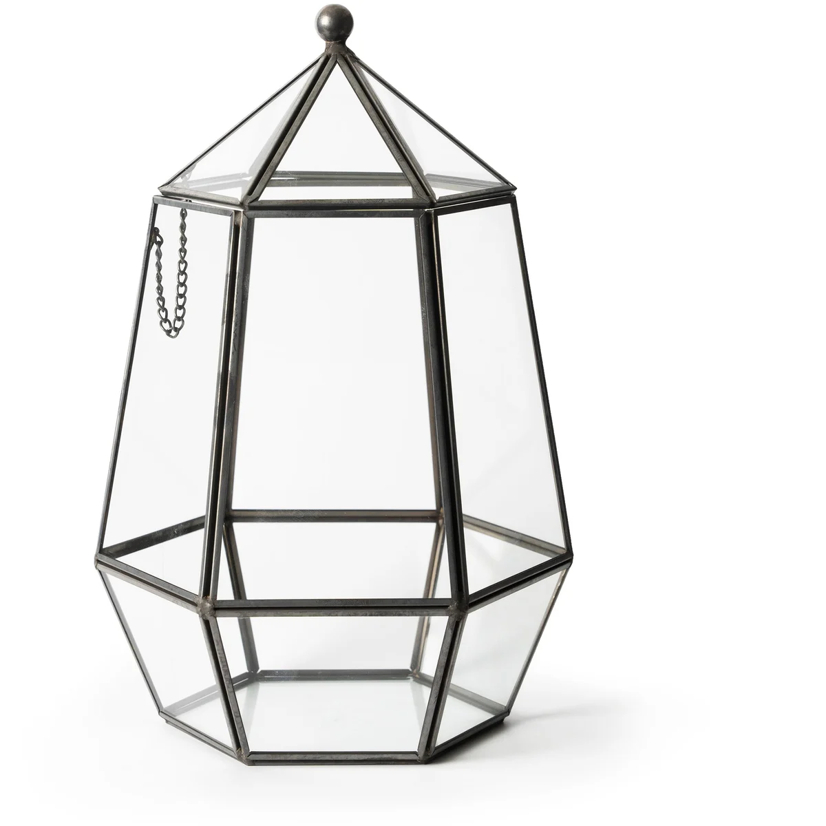 SuperMoss SuperMoss Glass Terrarium