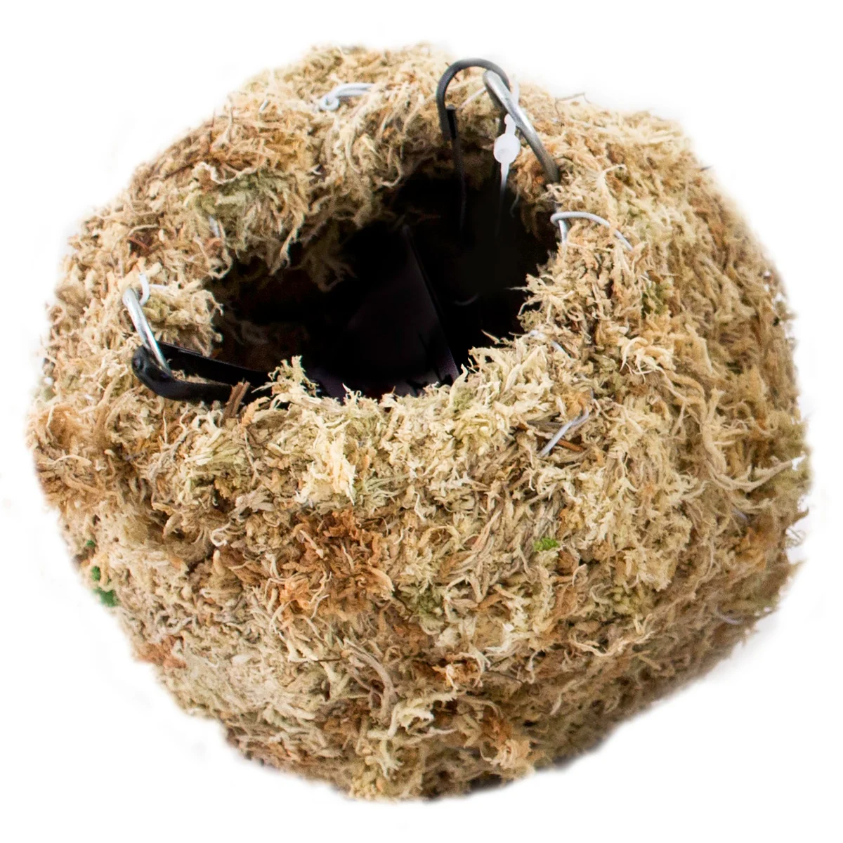 SuperMoss SuperMoss Kokedama Planter