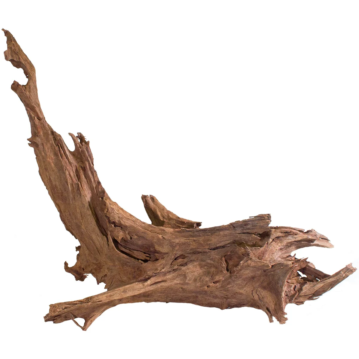 SuperMoss SuperMoss Malaysian Driftwood