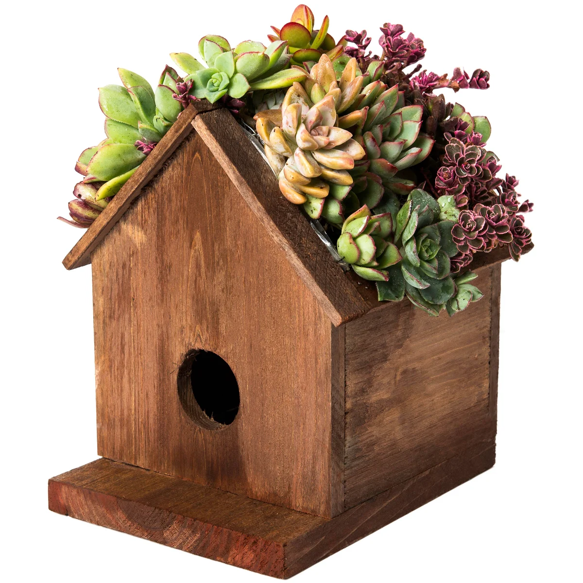 SuperMoss SuperMoss Plantable Wood Birdhouse