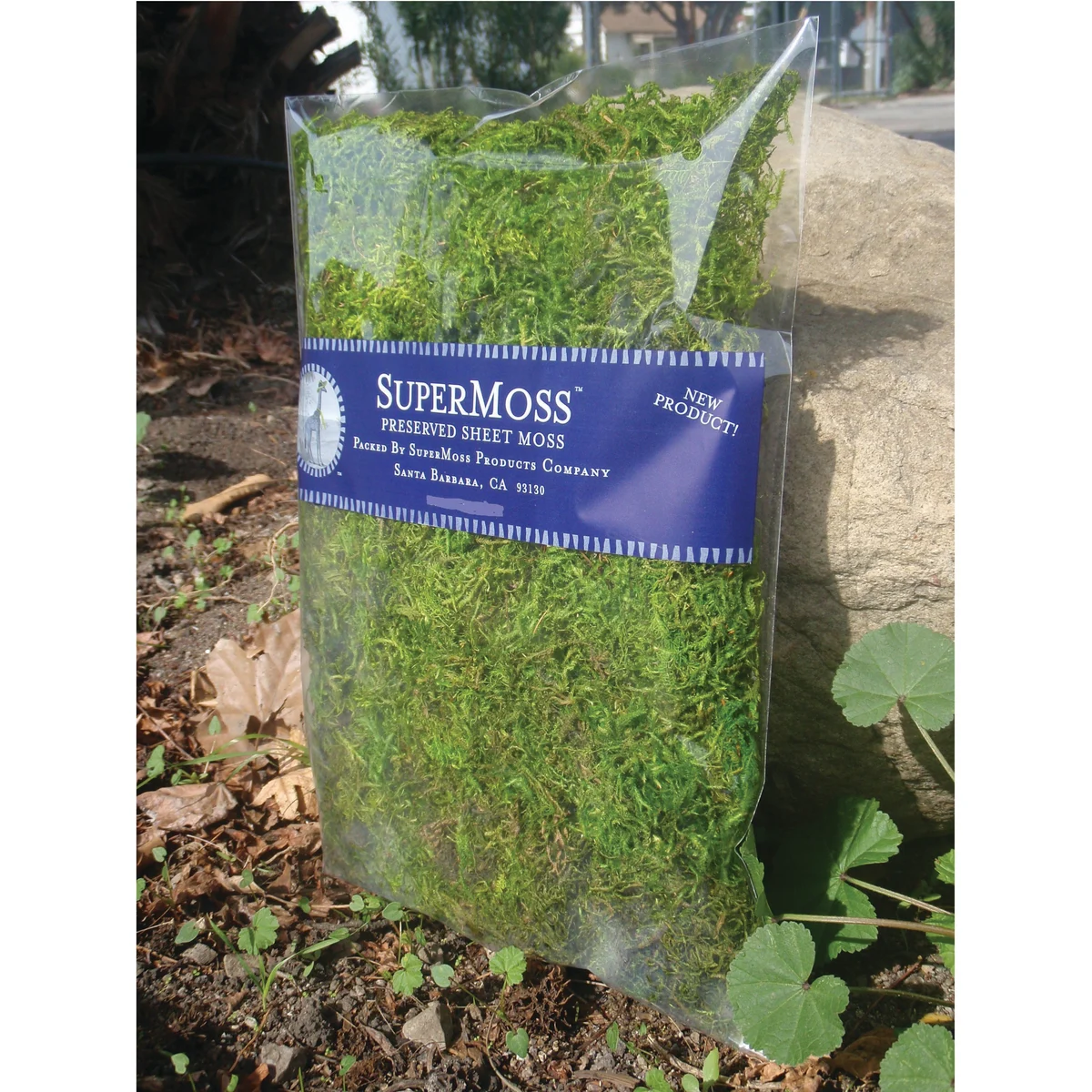 SuperMoss SuperMoss Preserved Forest Moss