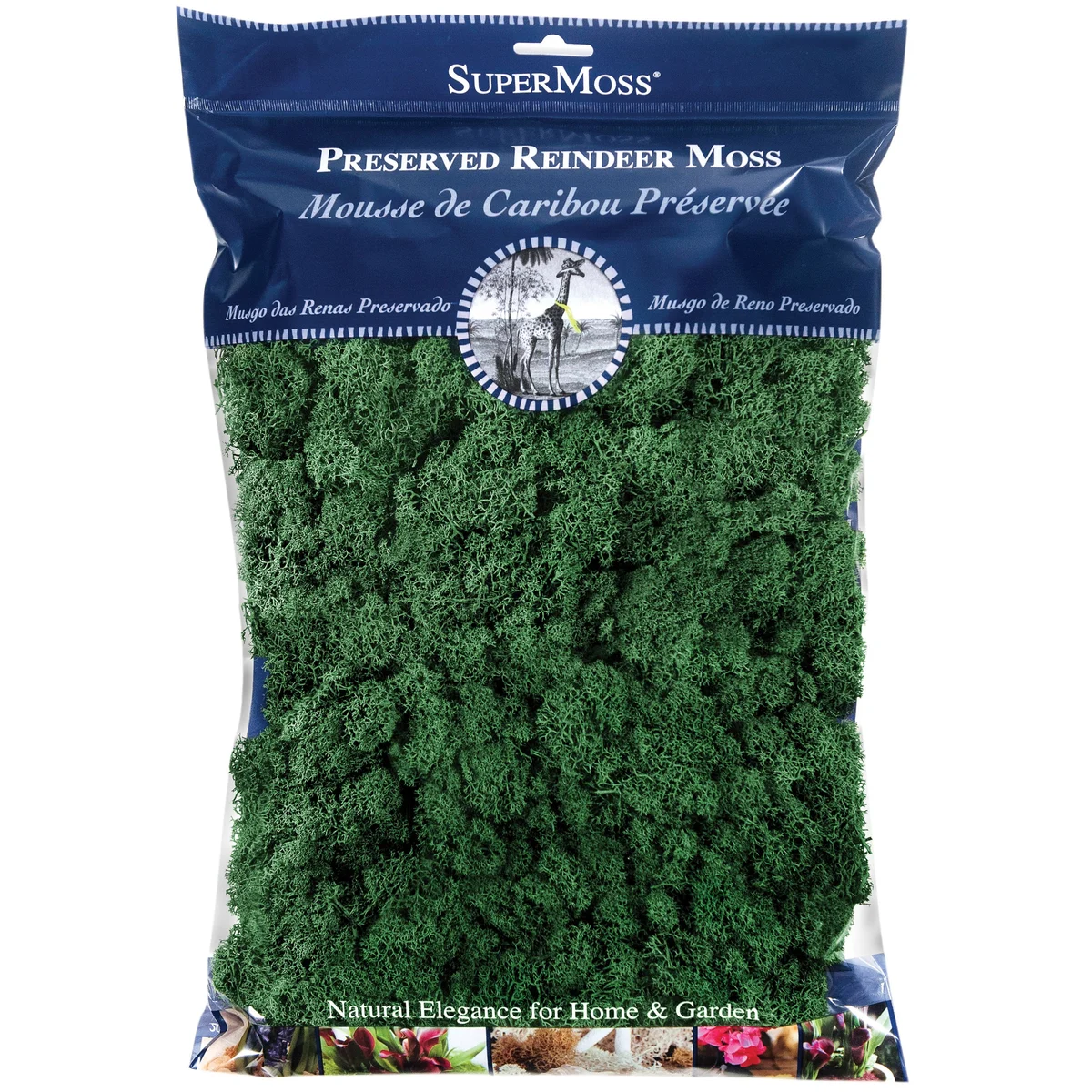 SuperMoss SuperMoss Reindeer Moss Preserved