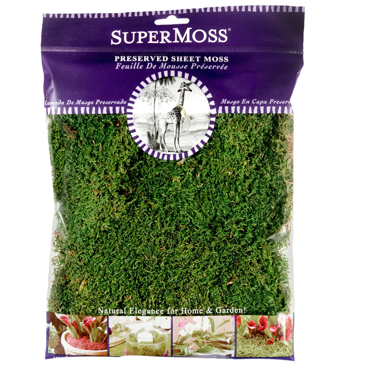 SuperMoss SuperMoss Sheet Moss Preserved