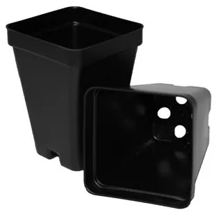 T.o. Plastics T. O. Plastics 02.50 Press Fit Pot Square Vacuum Deep 250 Black 700003C Use 705105C Tray (Case of 800)