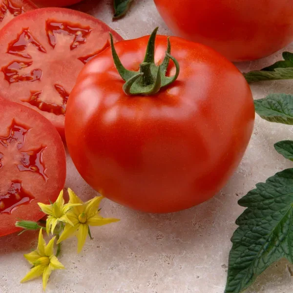 Tomato, Better Boy Plus Treated 100 Seed Count - Image 2