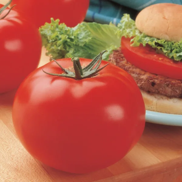 Tomato, Big Beef Plus Treated 100 Seed Count