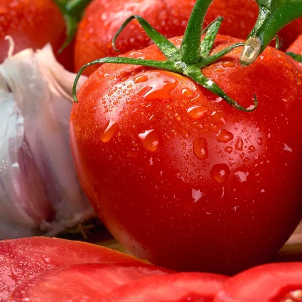 Illinois Foundation Seeds Tomato, Homestead 1