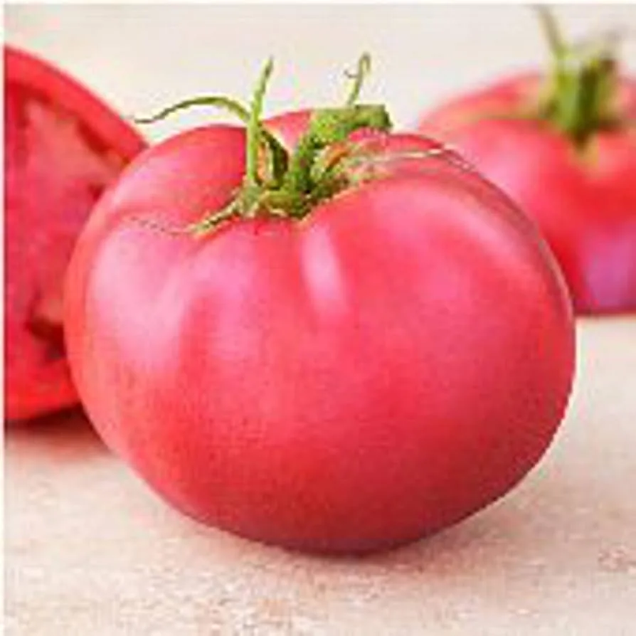 Tomato, Pink Girl Hybrid Treated 500 Seed Count - Image 2