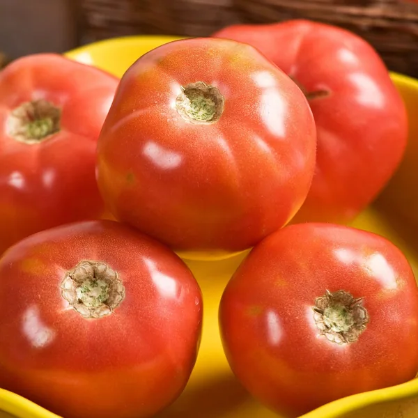 Seminis Vegetable Seeds Tomato, Pink Girl Hybrid Treated 500 Seed Count
