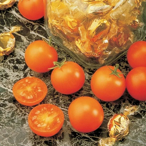 Tomato, Sunsugar 100 Seed Count