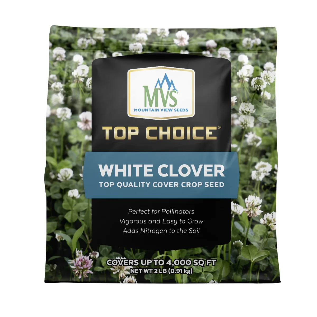 Top Choice Chicory Plus Mix 2 lbs Each - Image 2