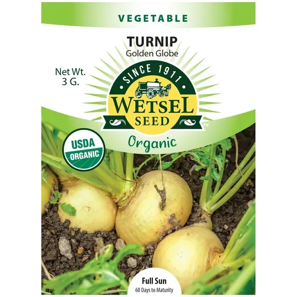 Turnips, Organic, Golden Globe 3 Grams - Image 2