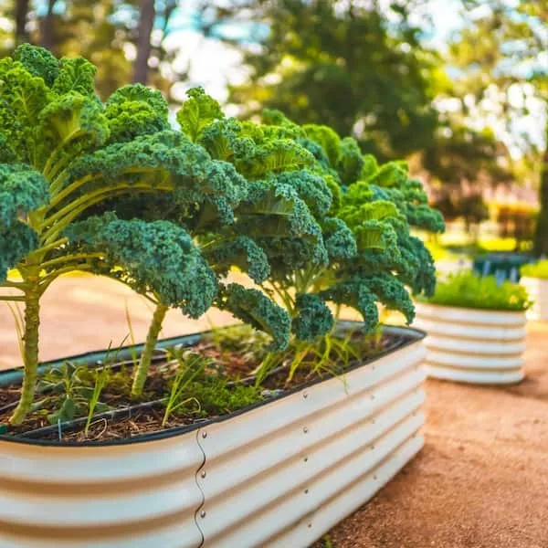 Vego Garden 17" 6 in 1 Modular Metal Raised Bed Pearl White - Image 3