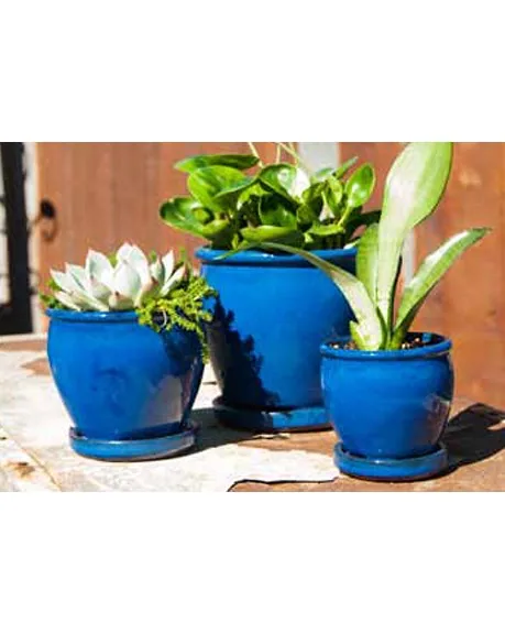 Verandah Butter Cup Size C Fbl