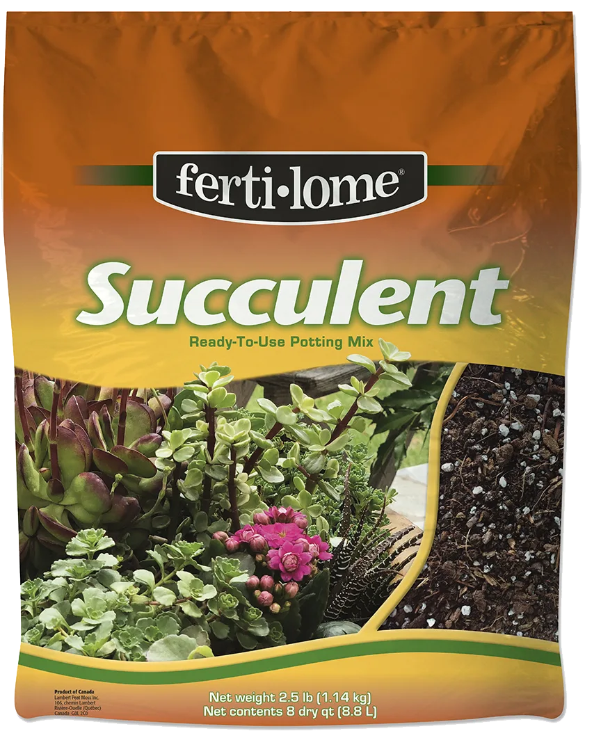 VPG 8qt Succulent Mix Fertilome - Image 2