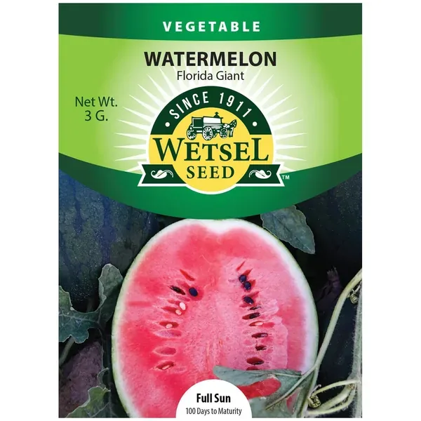 Watermelon, Florida Giant 3 Grams - Image 2