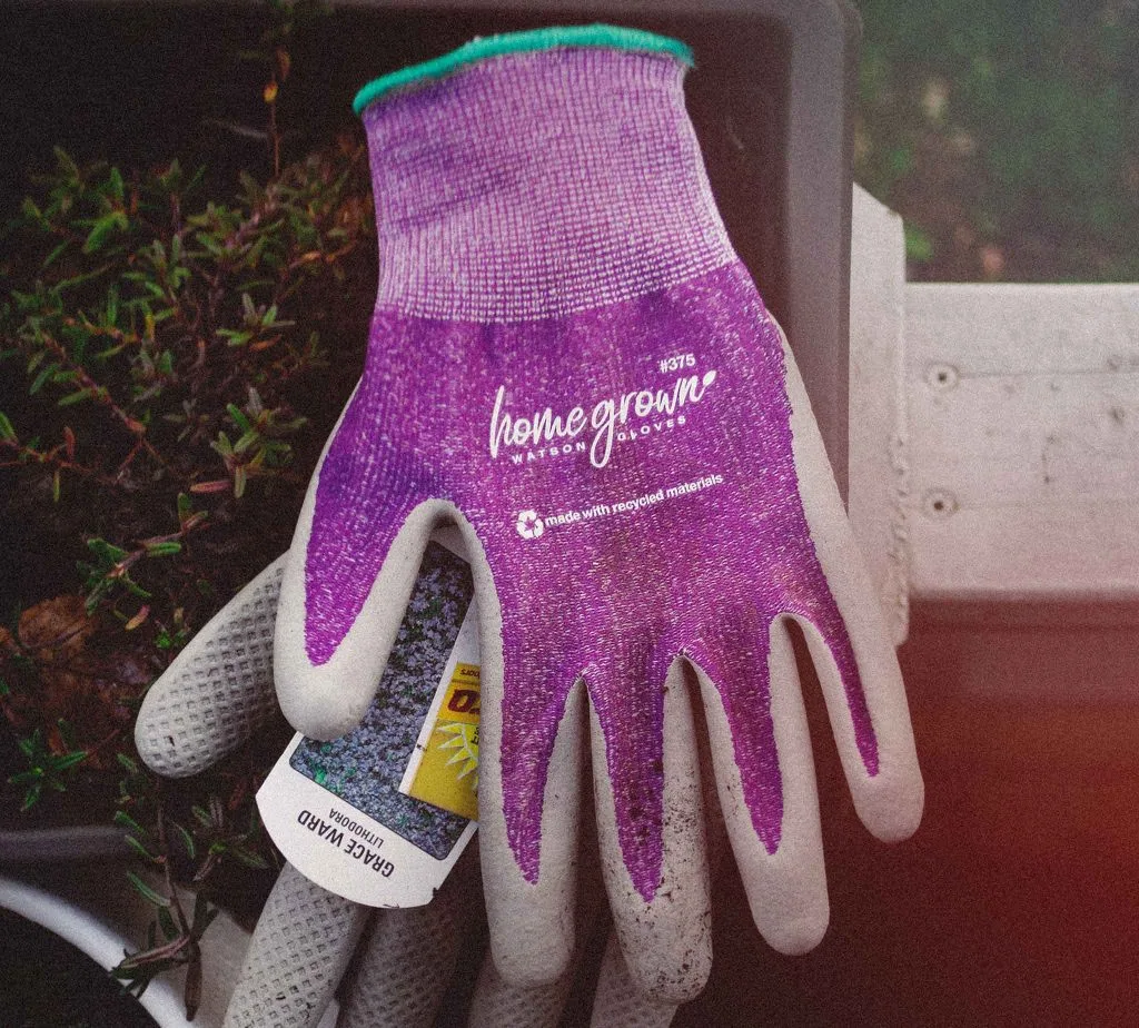 Watson Gloves Homegrown Sparrow Spandex Back w/Dryhide - Image 2