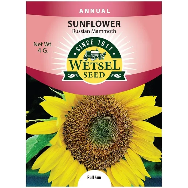 Sun Gro Wetsel Seed Russian Mammoth Sunflowers