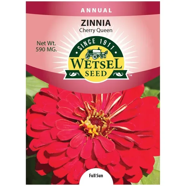 Zinnia, Cherry Queen 590mg - Image 2
