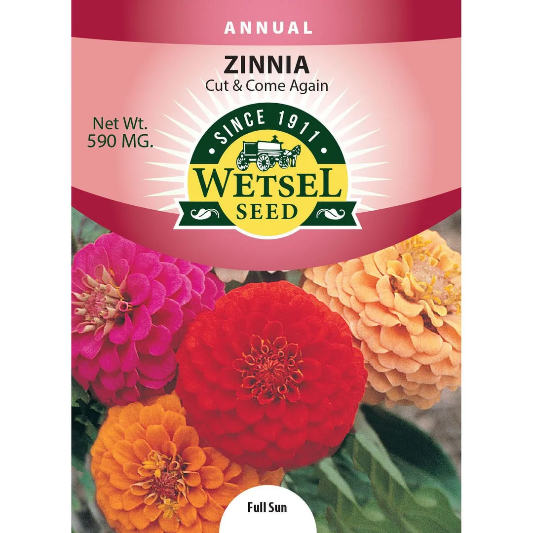 Zinnia, Cut & Come Again 590mg - Image 2
