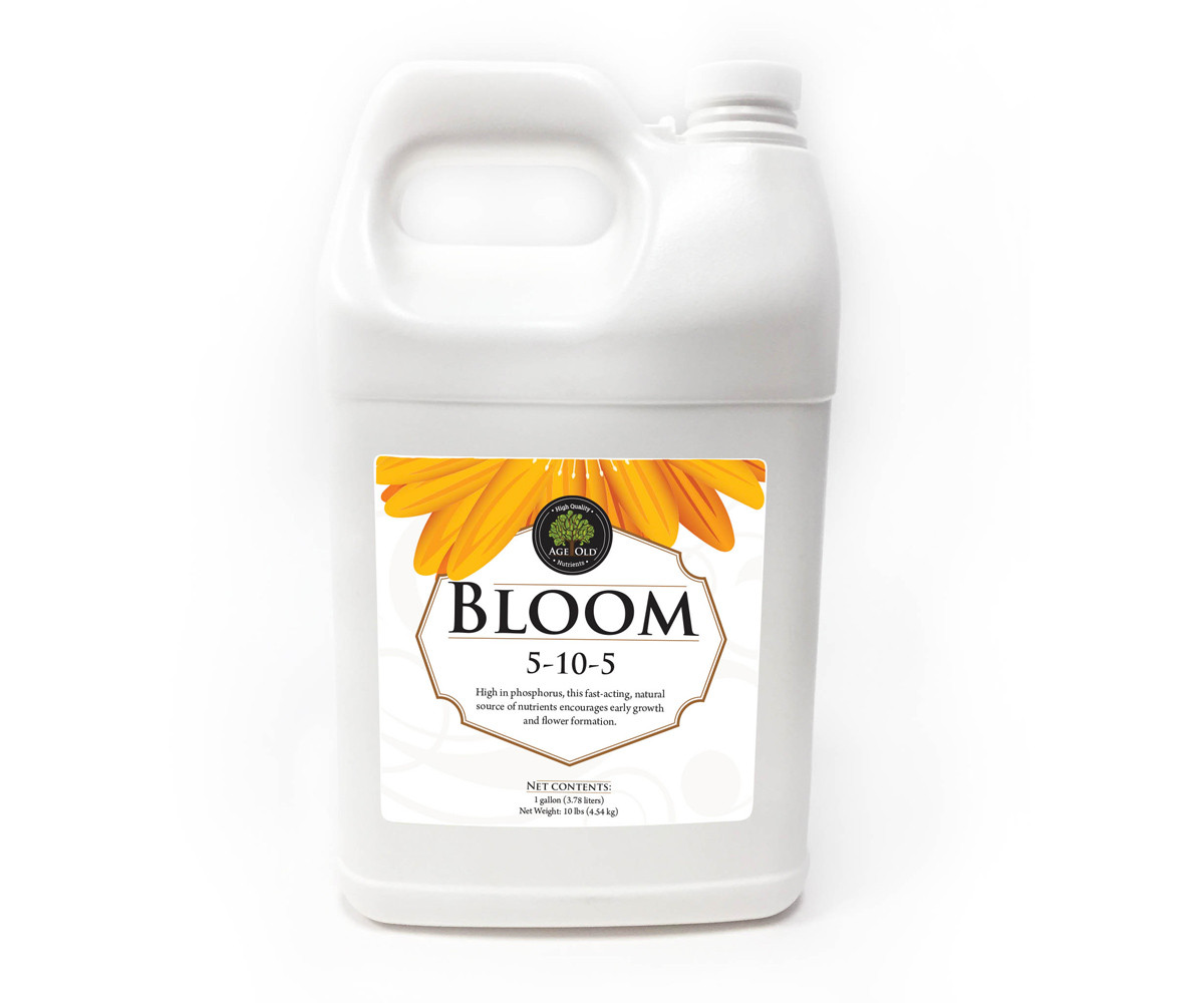 Age Old Bloom, 1 gal