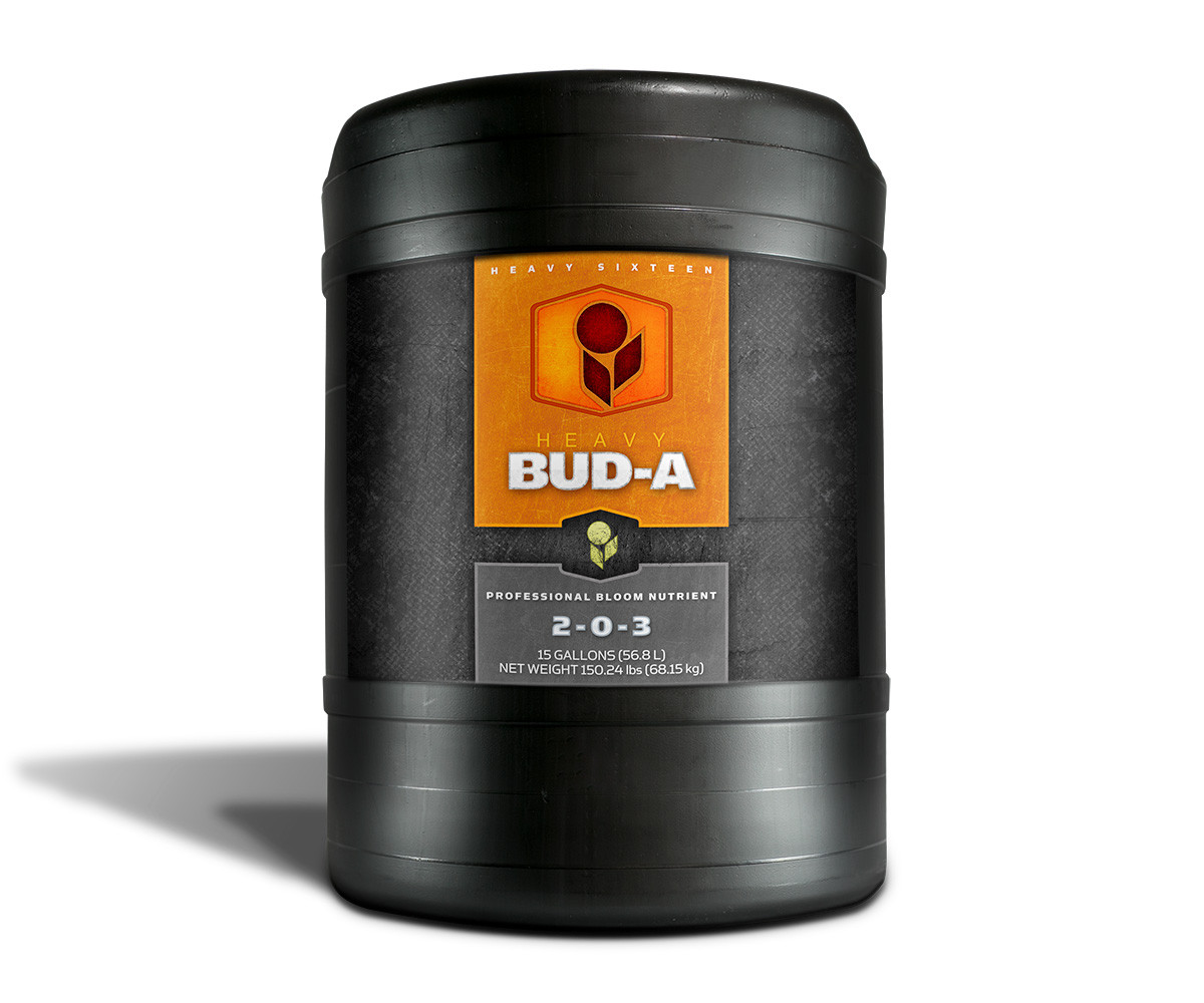 HEAVY 16 Bud A, 15 gal