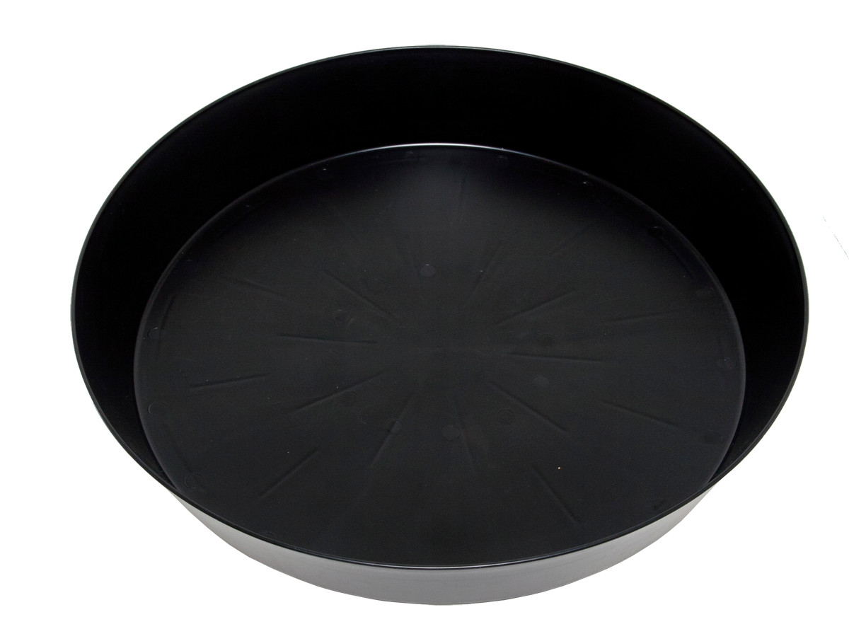 Super-Sized Black Saucer #25, pack of 5