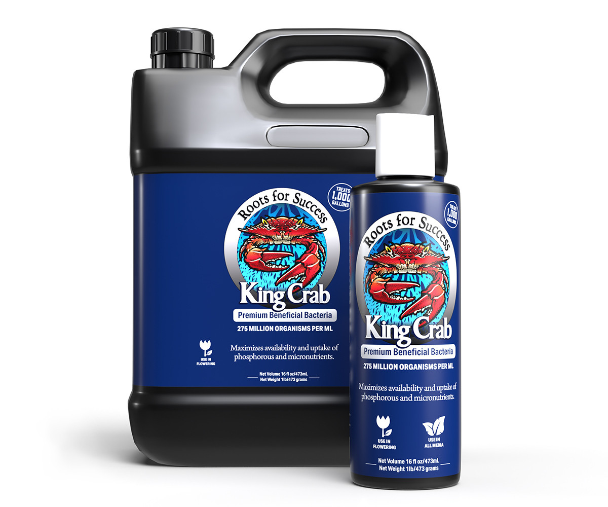 King Crab, 1 gal