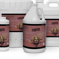 Roots Organics Buddha Bloom